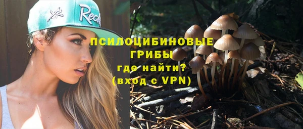 ешки Алексин