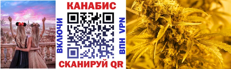 дарнет шоп  Омск  Конопля сатива 